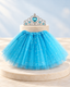 Blue tutu with tiara 2 pcs set for birthdays dress up cosplay
