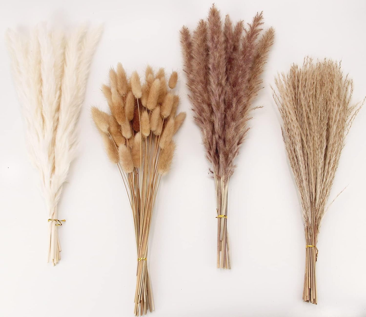 Pampas Grass for Boho Decor | Elegant Accents | 28 pieces, featuring natural dried pampas, reed grass, ideal for party decorations. Main image