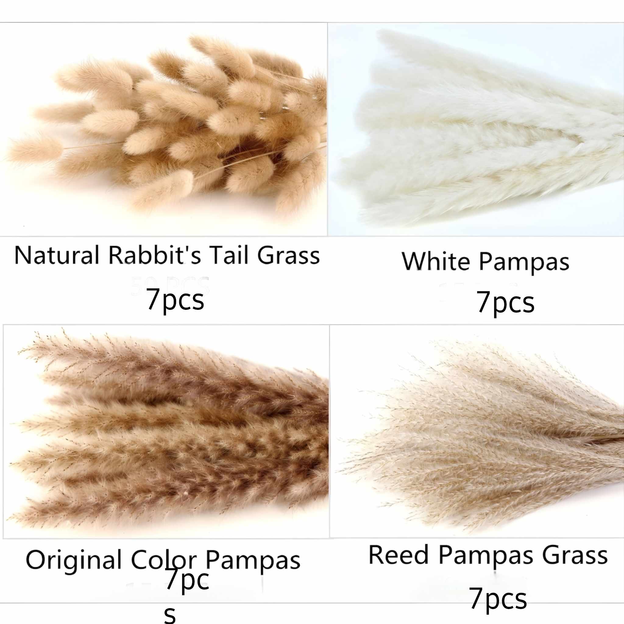 Pampas Grass for Boho Decor | Elegant Accents | 28 pieces Secondary image