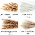 Pampas Grass for Boho Decor | Elegant Accents | 28 pieces including rabbit tail, white, original, reed pampas grass, party decorations