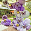 Purple Macaron Purple Metallic Gold Balloon Garland Kit 118 pcs for party decorations