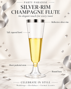 Silver Rim Champagne Flutes for Weddings Birthday Engagement 20PCS
