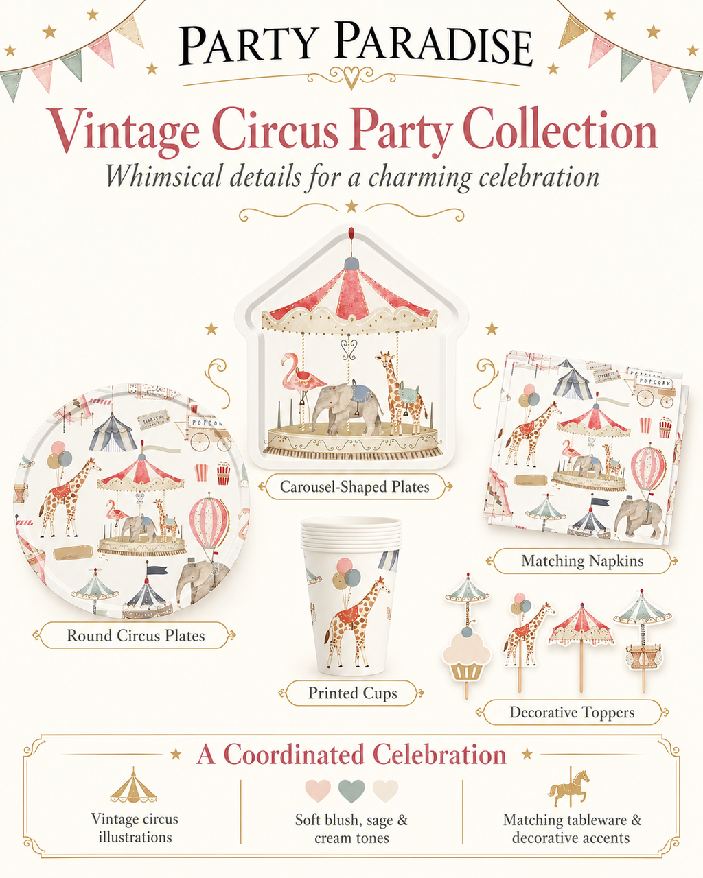 Circus Theme Party Plate Set for birthdays dinner party celebration Party Bundle Set